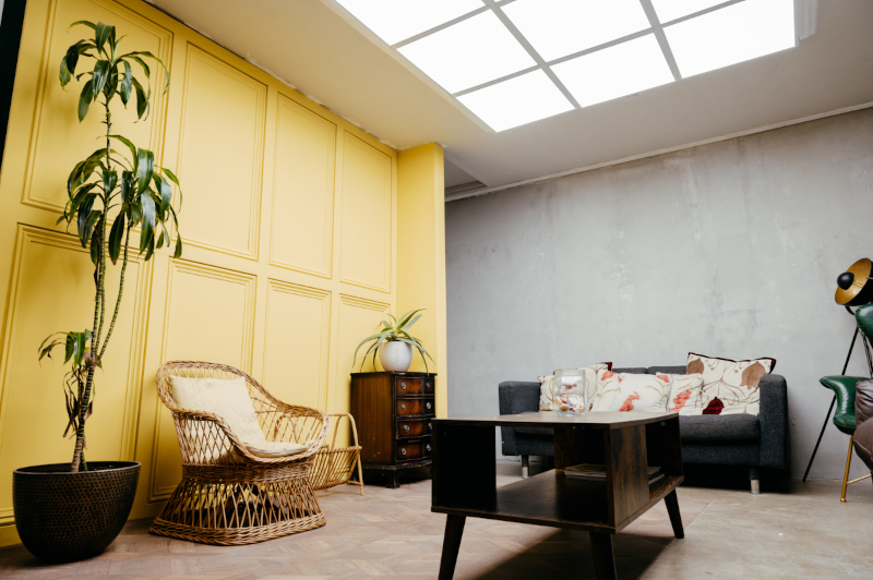 lounge yellow panelled wall wicker chair pot plant
